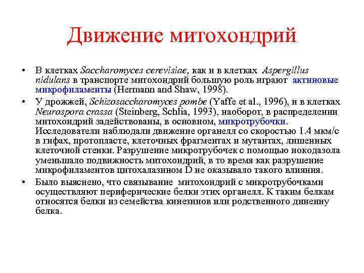 Движение митохондрий • В клетках Saccharomyces cerevisiae, как и в клетках Aspergillus nidulans в
