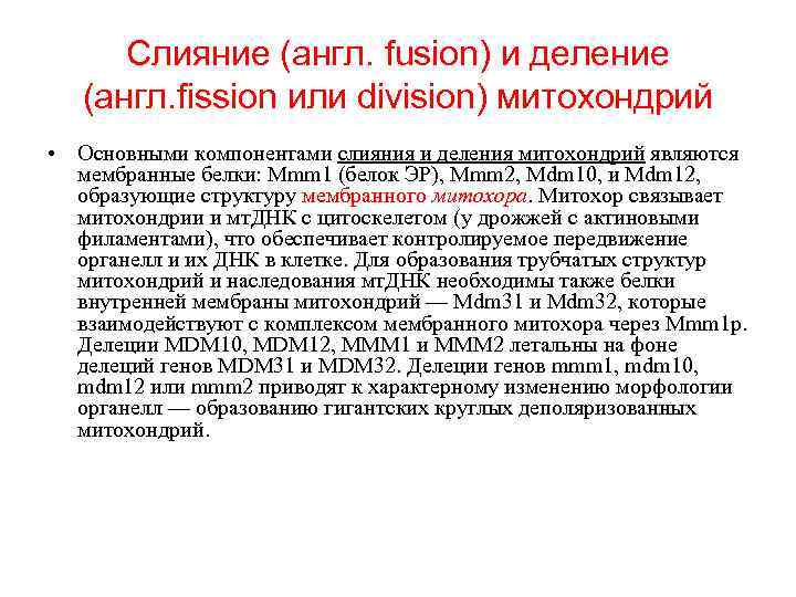 Слияние (англ. fusion) и деление (англ. fission или division) митохондрий • Основными компонентами слияния