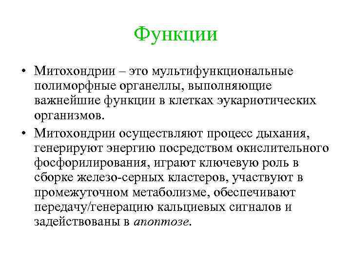 Функции • Митохондрии – это мультифункциональные полиморфные органеллы, выполняющие важнейшие функции в клетках эукариотических