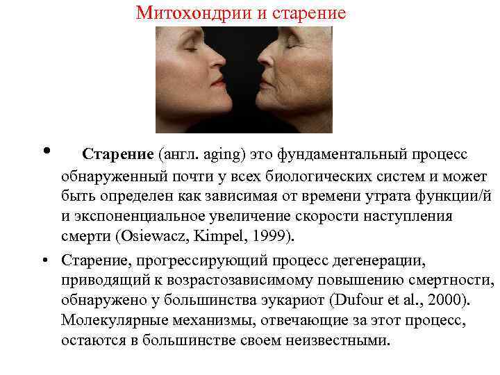 Митохондрии и старение • Старение (англ. аging) это фундаментальный процесс обнаруженный почти у всех