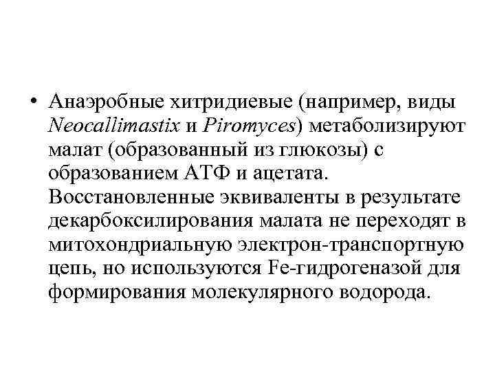  • Анаэробные хитридиевые (например, виды Neocallimastix и Piromyces) метаболизируют малат (образованный из глюкозы)
