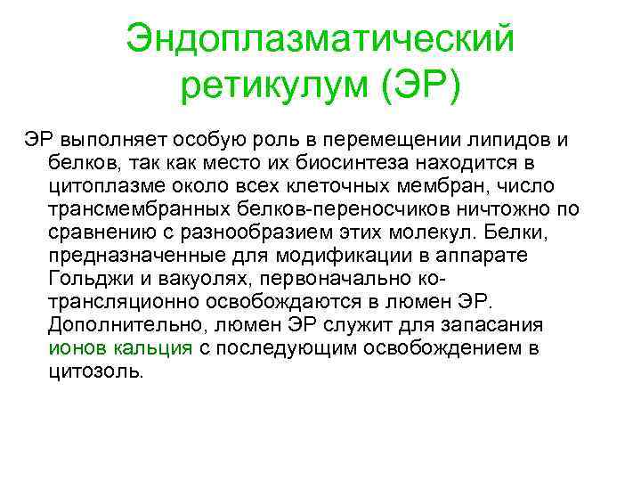 Эндоплазматический ретикулум (ЭР) ЭР выполняет особую роль в перемещении липидов и белков, так как