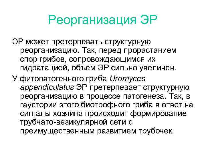 Реорганизация ЭР ЭР может претерпевать структурную реорганизацию. Так, перед прорастанием спор грибов, сопровождающимся их