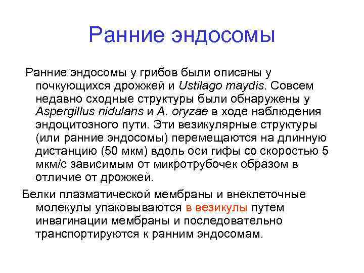 Ранние эндосомы у грибов были описаны у почкующихся дрожжей и Ustilago maydis. Совсем недавно