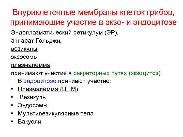 Внуриклеточные мембраны клеток грибов, принимающие участие в экзо- и эндоцитозе Эндоплазматический ретикулум (ЭР), аппарат