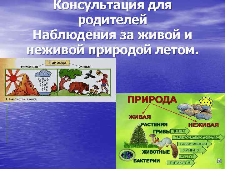 Консультация для родителей Наблюдения за живой и неживой природой летом. 