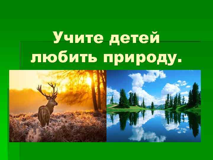 Учите детей любить природу. 