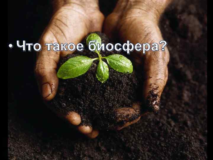  • Что такое биосфера? 