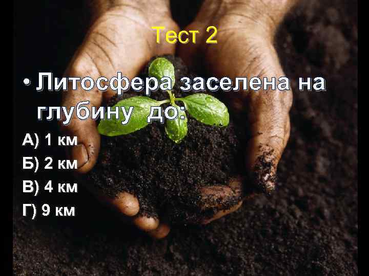 Тест 2 • Литосфера заселена на глубину до: А) 1 км Б) 2 км