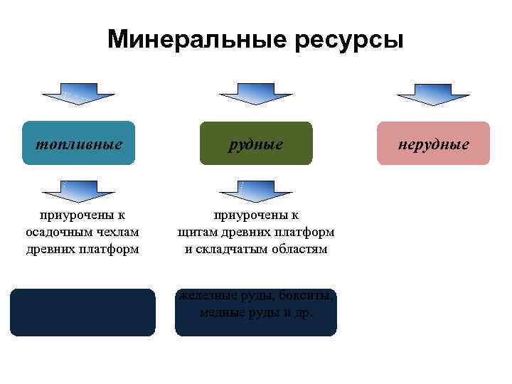 Минеральные ресурсы топливные рудные приурочены к осадочным чехлам древних платформ приурочены к щитам древних