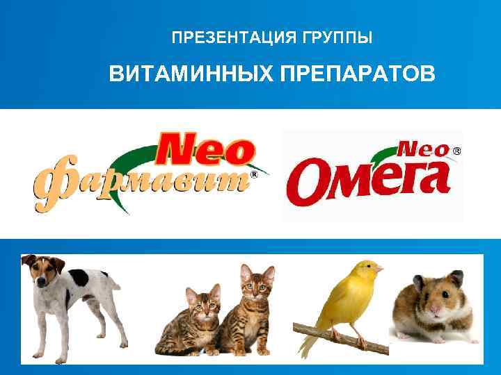 ПРЕЗЕНТАЦИЯ ГРУППЫ ВИТАМИННЫХ ПРЕПАРАТОВ 