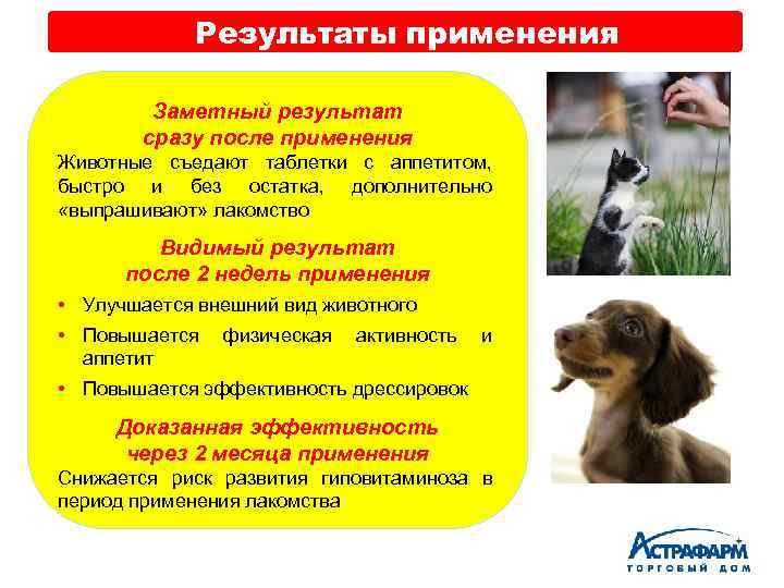 Результаты применения Заметный результат сразу после применения Животные съедают таблетки с аппетитом, быстро и