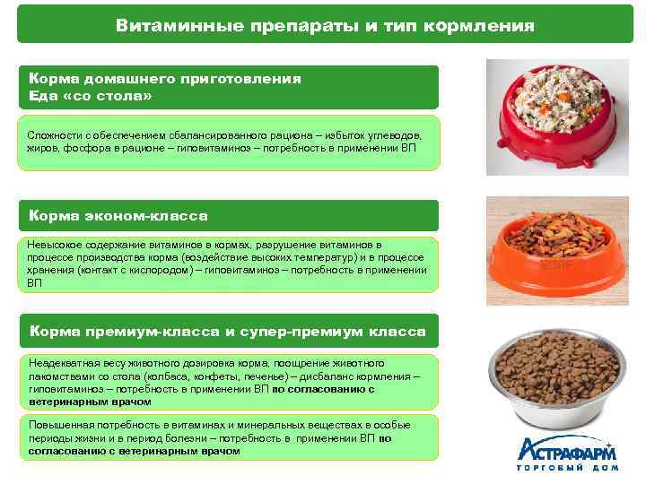 Витаминные препараты и тип кормления Корма домашнего приготовления Еда «со стола» Сложности с обеспечением