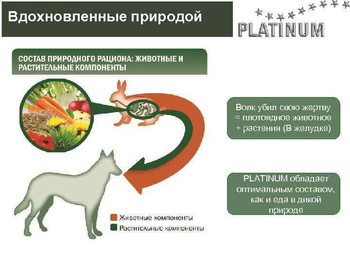 Вдохновленные природой Волк убил свою жертву = плотоядное животное + растения (В желудке) PLATINUM