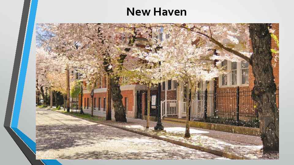 New Haven 