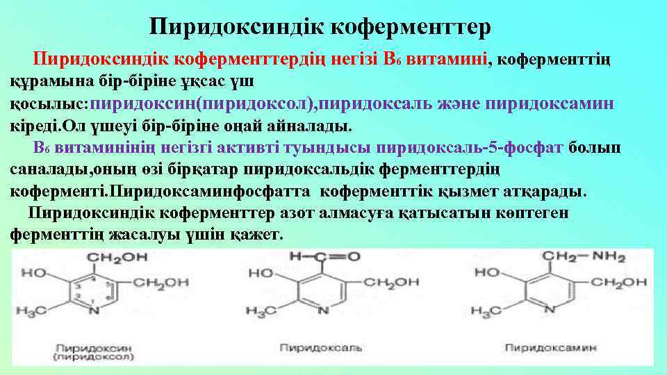 Пиридоксиндік коферменттердің негізі В 6 витамині, коферменттің құрамына бір-біріне ұқсас үш қосылыс: пиридоксин(пиридоксол), пиридоксаль