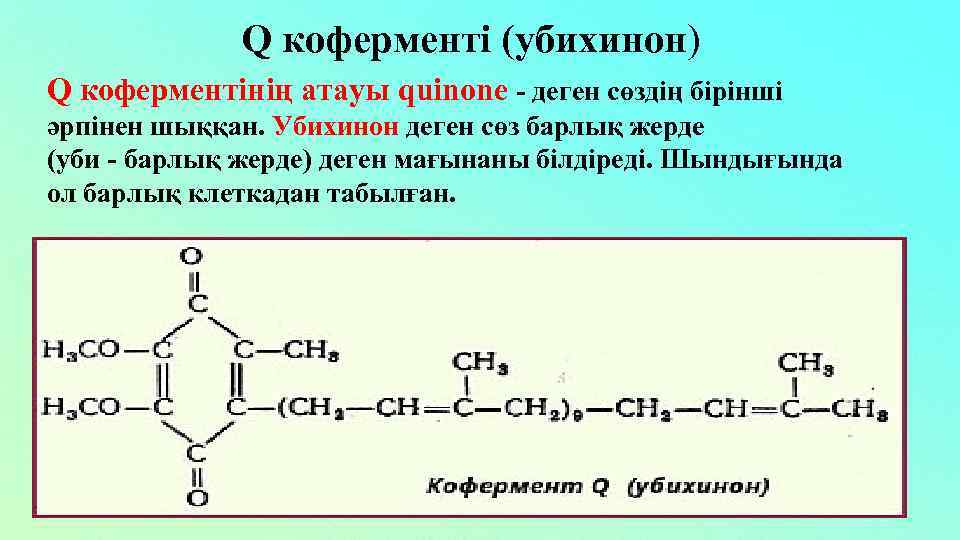Q коферменті (убихинон) Q коферментінің атауы quinone - деген сөздің бірінші әрпінен шыққан. Убихинон