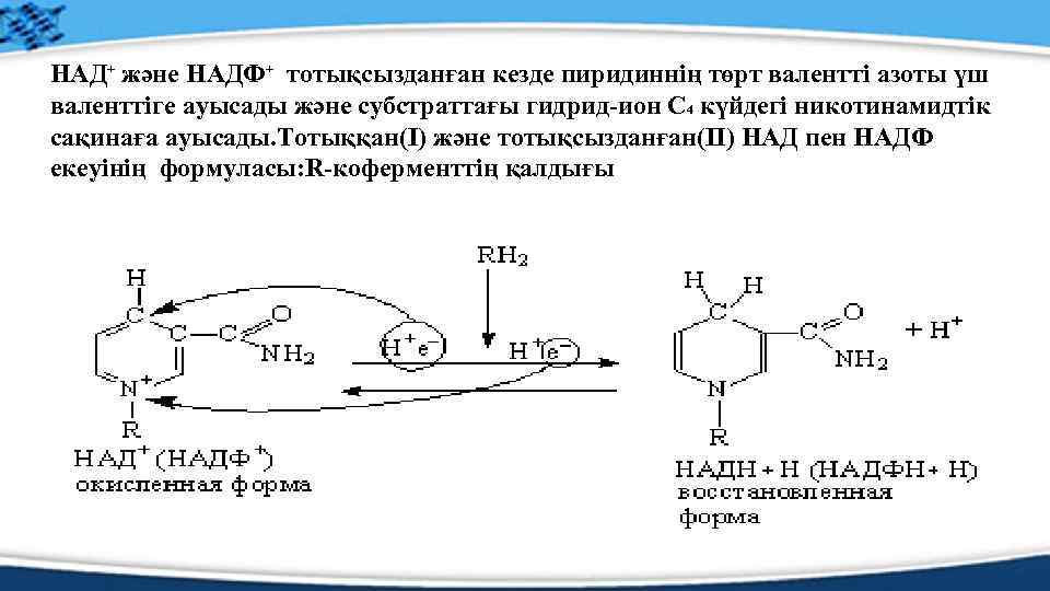 Восстановление надф. НАДФ это в биологии. Над и НАДФ отличия. НАДФ как работает. Переносчик водорода НАДФ.