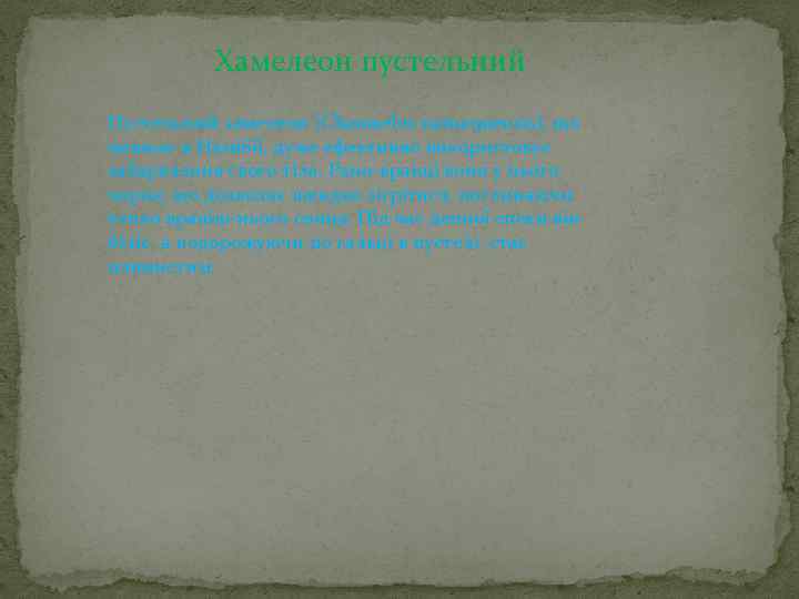 Хамелеон пустельний Пустельний хамелеон {Chamaeleo namaquensis), що мешкає в Намібії, дуже ефективно використовує забарвлення