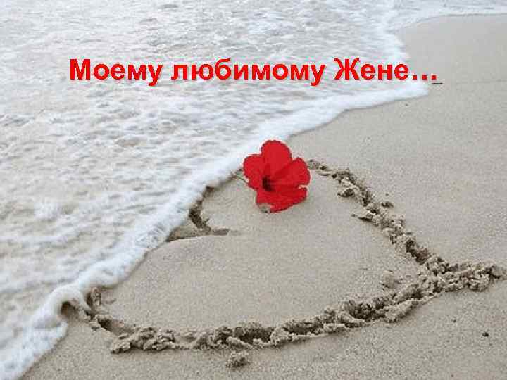 Моему любимому Жене… 