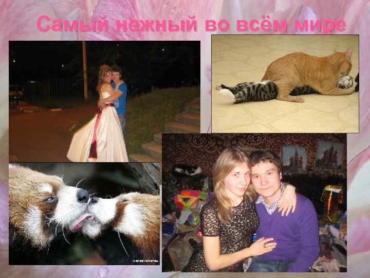 Самый нежный во всём мире 