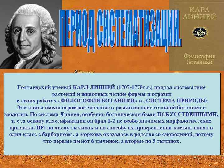 Голландский ученый КАРЛ ЛИННЕЙ (1707 -1778 г. г. ) придал систематике растений и животных