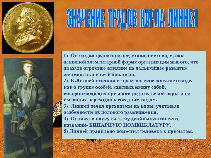 1) Он создал целостное представление о виде, как основной элементарной форме организации живого, что