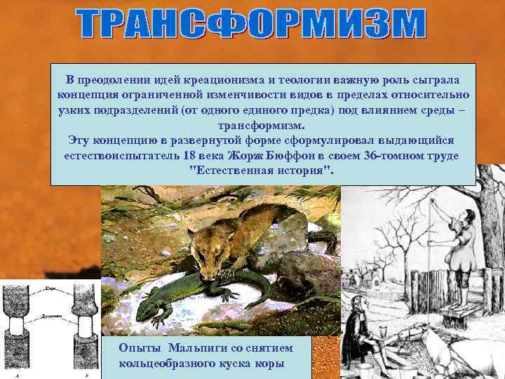 В преодолении идей креационизма и теологии важную роль сыграла концепция ограниченной изменчивости видов в