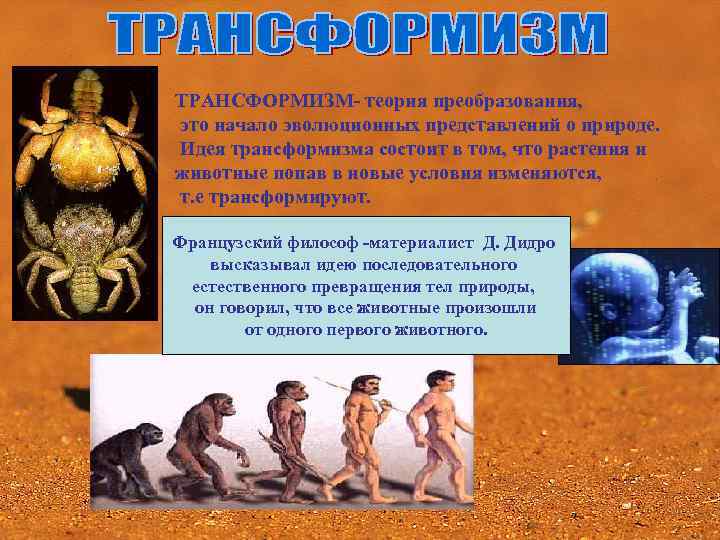 ТРАНСФОРМИЗМ- теория преобразования, это начало эволюционных представлений о природе. Идея трансформизма состоит в том,