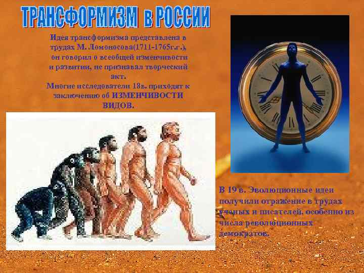Идея трансформизма представлена в трудах М. Ломоносова(1711 -1765 г. г. ), он говорил о