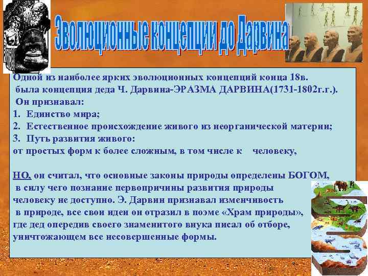 Одной из наиболее ярких эволюционных концепций конца 18 в. была концепция деда Ч. Дарвина-ЭРАЗМА
