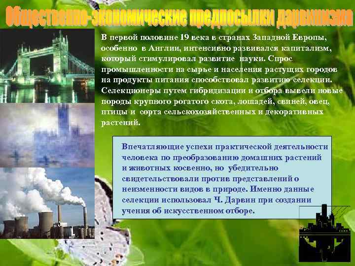 В первой половине 19 века в странах Западной Европы, особенно в Англии, интенсивно развивался