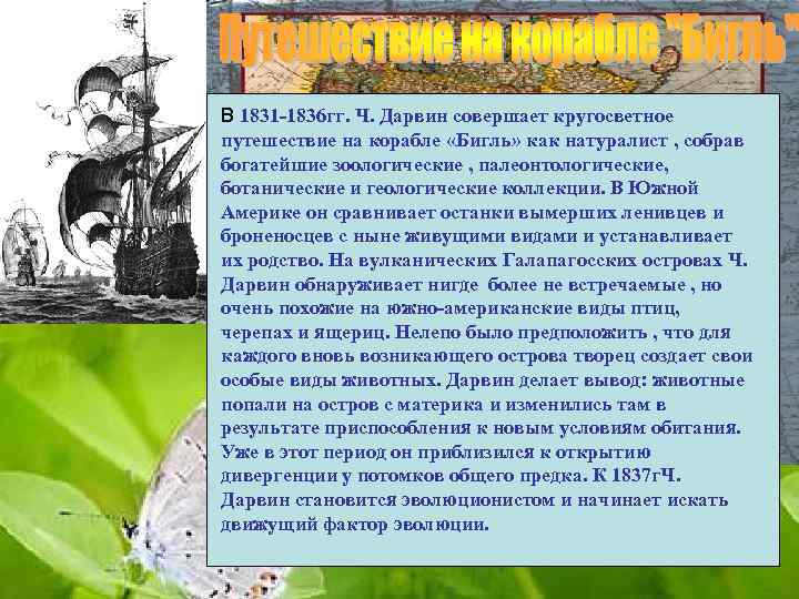 В 1831 -1836 гг. Ч. Дарвин совершает кругосветное путешествие на корабле «Бигль» как натуралист