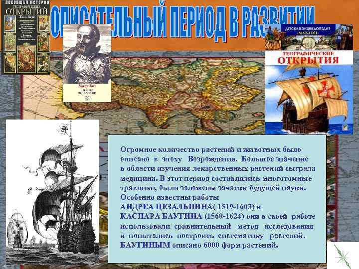 Огромное количество растений и животных было описано в эпоху Возрождения. Большое значение в области