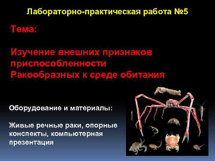 Лабораторно-практическая работа № 5 Тема: Изучение внешних признаков приспособленности Ракообразных к среде обитания Оборудование