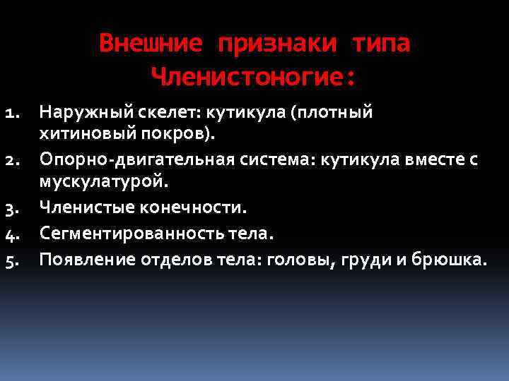 Внешние признаки типа Членистоногие: 1. Наружный скелет: кутикула (плотный хитиновый покров). 2. Опорно-двигательная система: