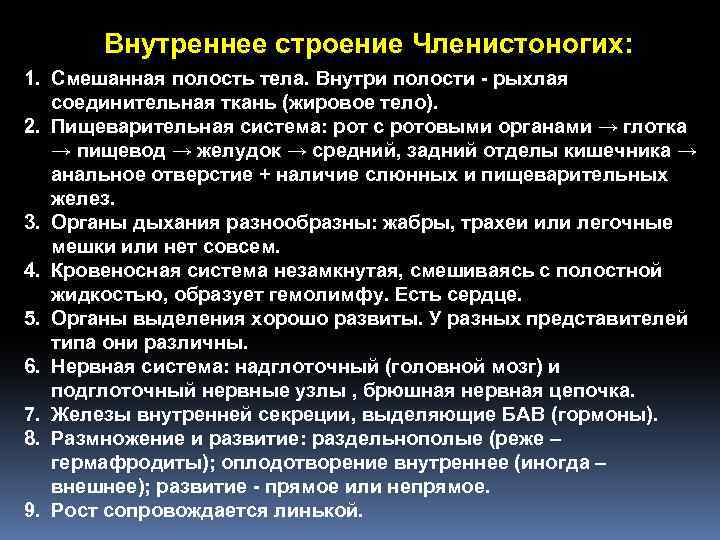 Внутреннее строение Членистоногих: 1. Смешанная полость тела. Внутри полости - рыхлая соединительная ткань (жировое