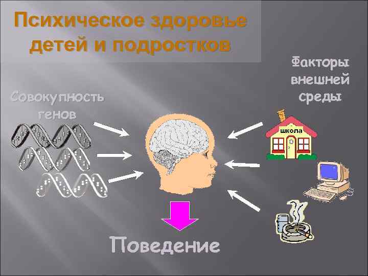 Психическое здоровье детей и подростков Совокупность генов Факторы внешней среды школа Поведение 