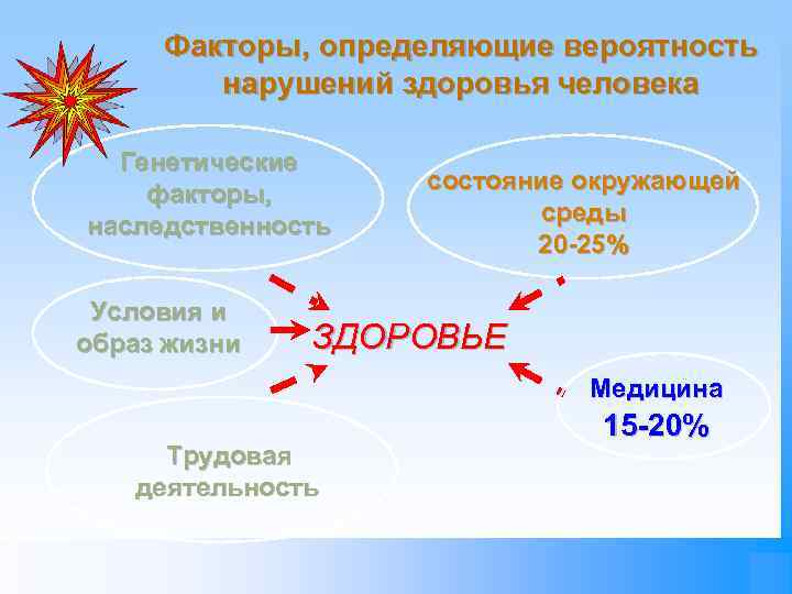Факторы, определяющие вероятность нарушений здоровья человека Генетические факторы, наследственность Условия и образ жизни состояние