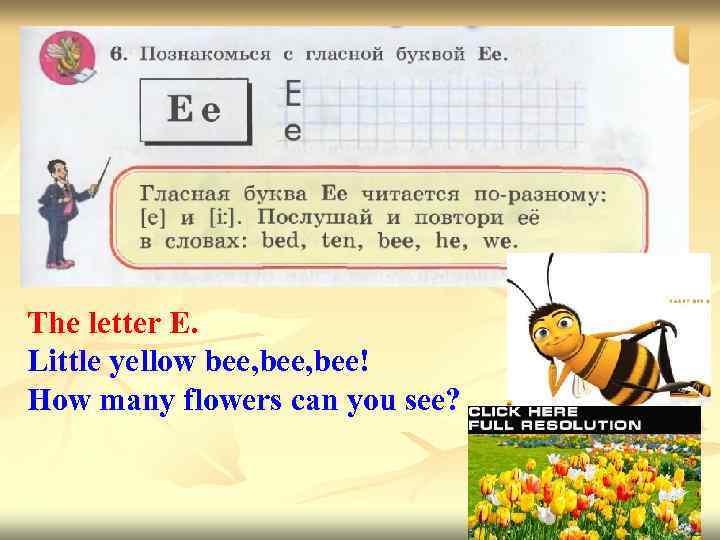 The letter E. Little yellow bee, bee! How many flowers can you see? 