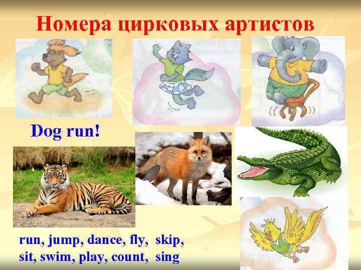 Номера цирковых артистов Dog run! run, jump, dance, fly, skip, sit, swim, play, count,