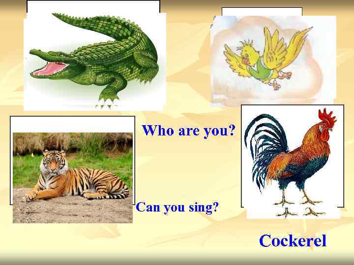 Who are you? Can you sing? Cockerel 