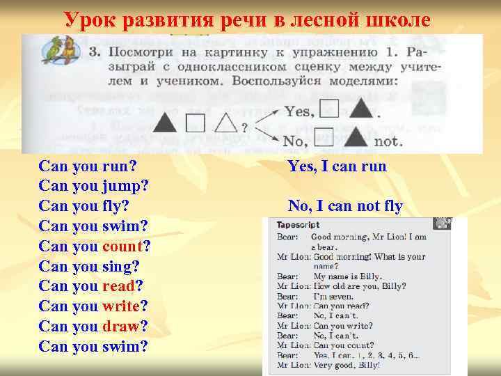 Урок развития речи в лесной школе Can you run? Can you jump? Can you