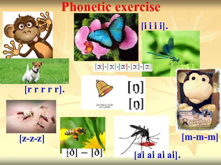 Phonetic exercise [i i i i]. [r r r]. [m-m-m] [z-z-z] [ai ai]. 