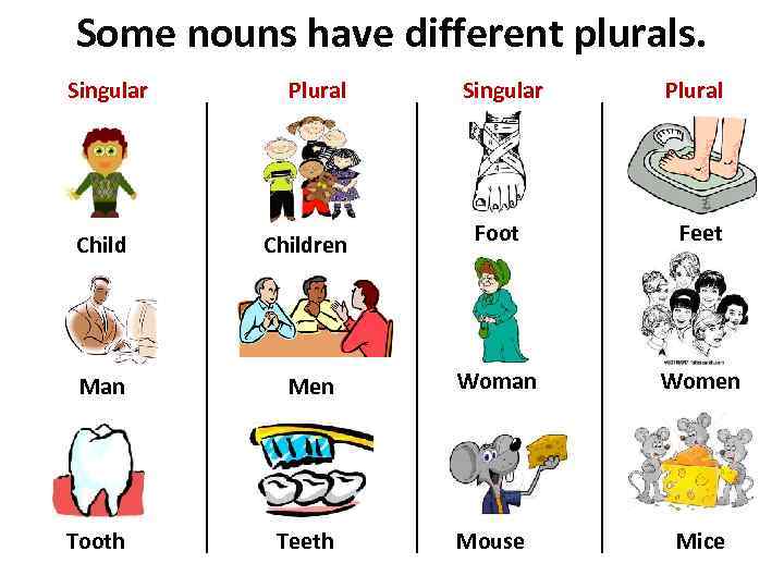 Some nouns have different plurals. Singular Plural Foot Feet Children Man Men Woman Women