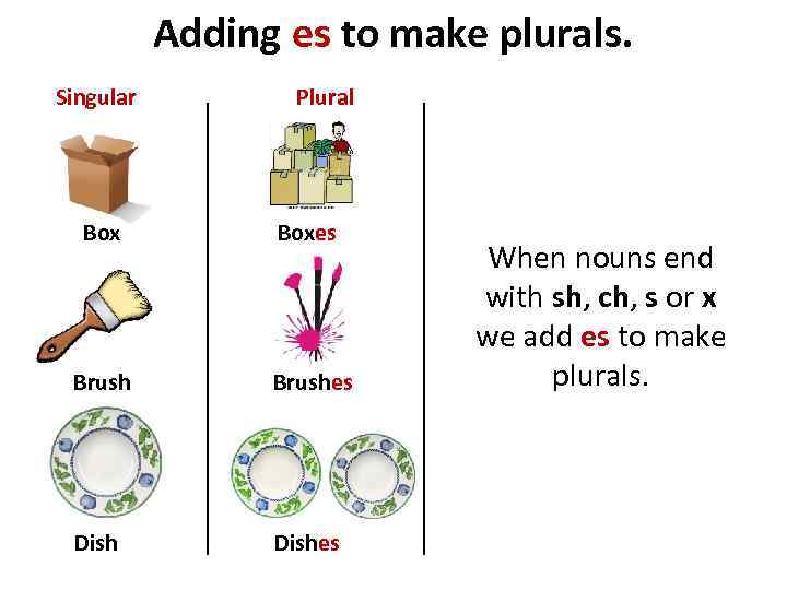 Adding es to make plurals. Singular Plural Boxes Brushes Dishes When nouns end with
