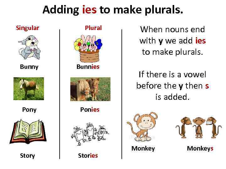 Adding ies to make plurals. Singular Plural Bunny Bunnies Pony When nouns end with