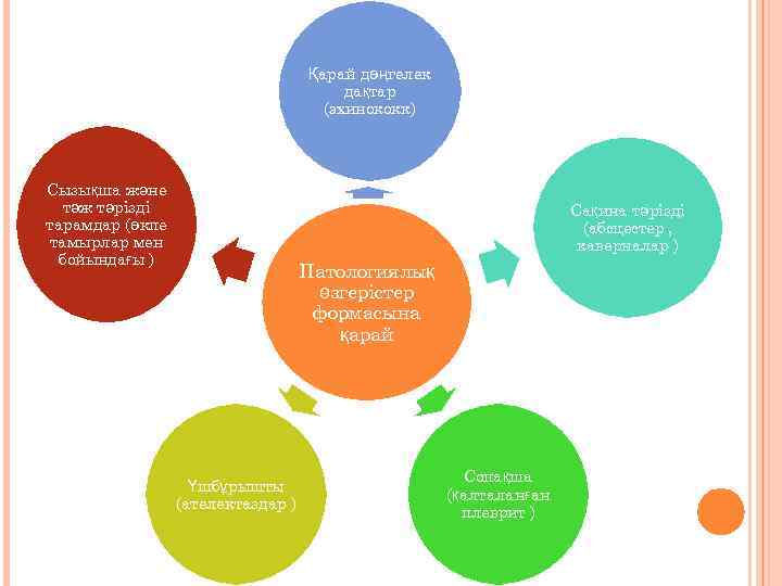 Қарай дөңгелек дақтар (эхинококк) Сызықша және тәж тәрізді тарамдар (өкпе тамырлар мен бойындағы )