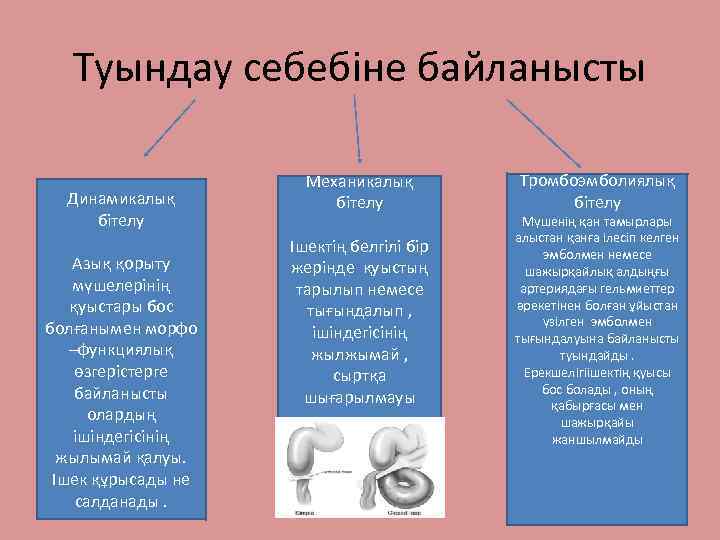 Туындау себебіне байланысты Динамикалық бітелу Азық қорыту мүшелерінің қуыстары бос болғанымен морфо –функциялық өзгерістерге
