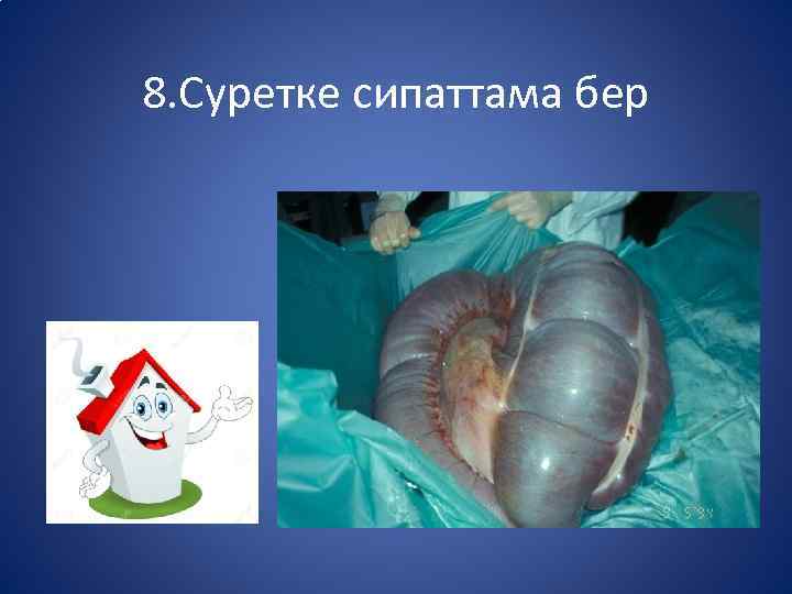 8. Суретке сипаттама бер 